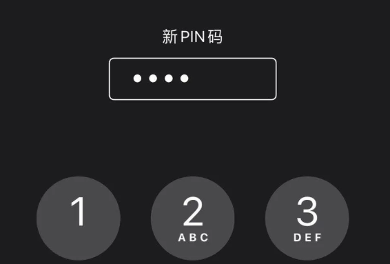 分析iPhone的PIN码弘德网_弘德商城_公共安全产品网