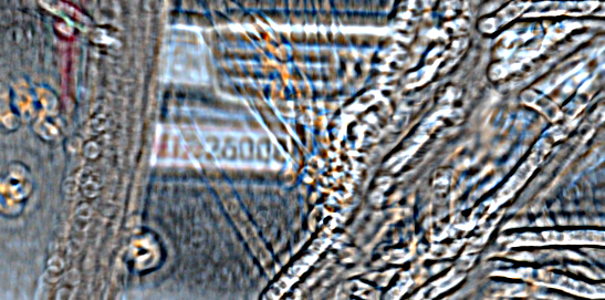 镜头虚焦处理图.png 镜头虚焦处理图.png