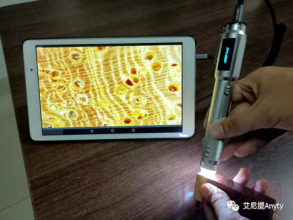 手持式显微镜在木材无损检测中的应用