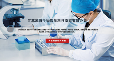 新品发布丨X31Plex荧光检测试剂盒