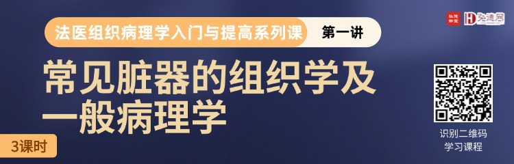 教育培训公考上岸招生直播预告手机海报 (8).jpg 教育培训公考上岸招生直播预告手机海报 (8).jpg