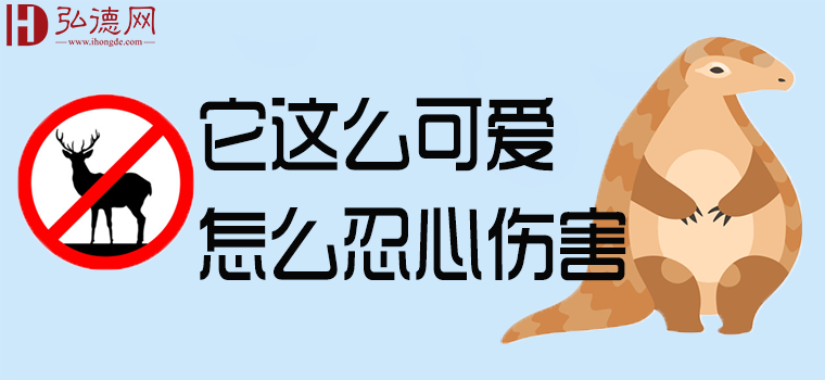 英国勘查人员从穿山甲鳞片上提取指纹，方法简单易用！ / 弘德商城_公共安全产品网