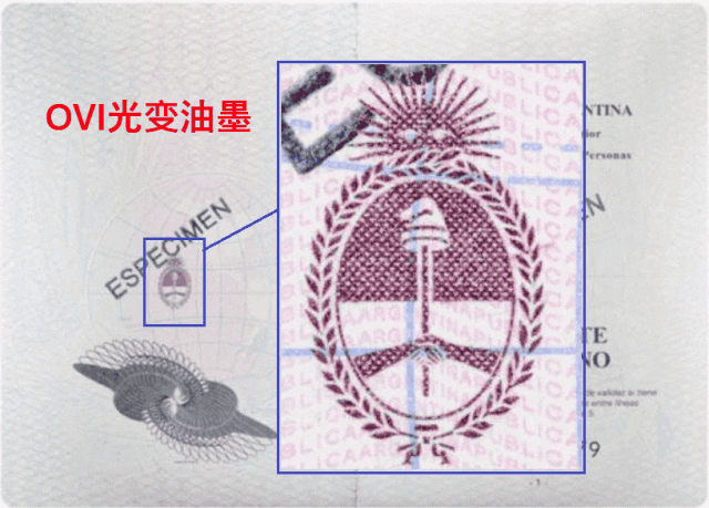5.gif