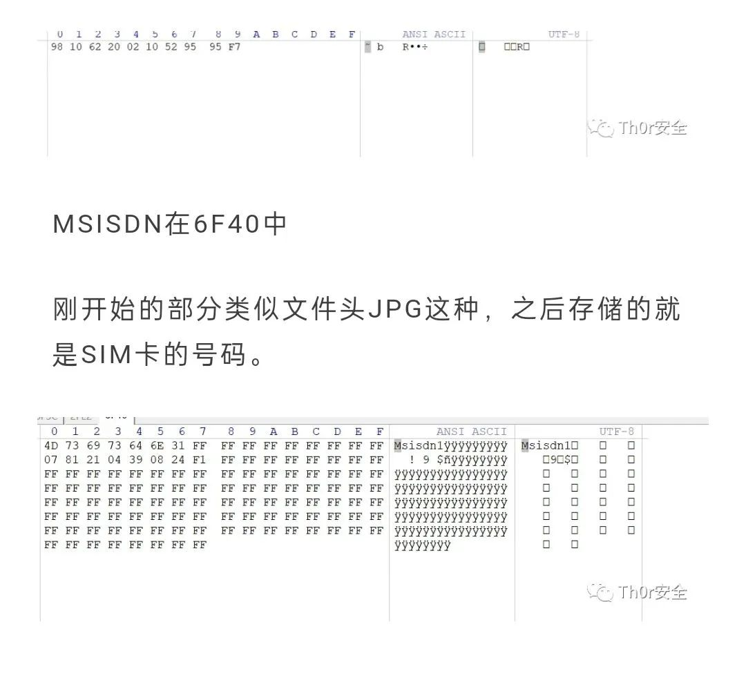 5.png