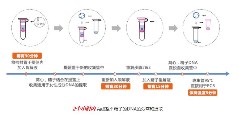 混合版图1.jpg