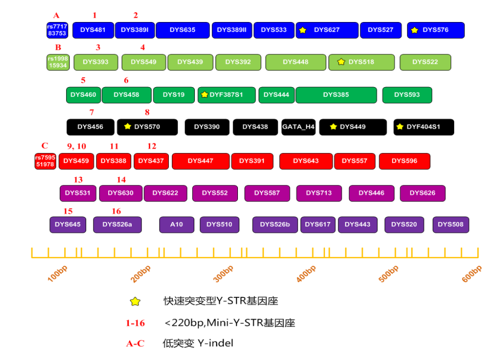 图片 2.png