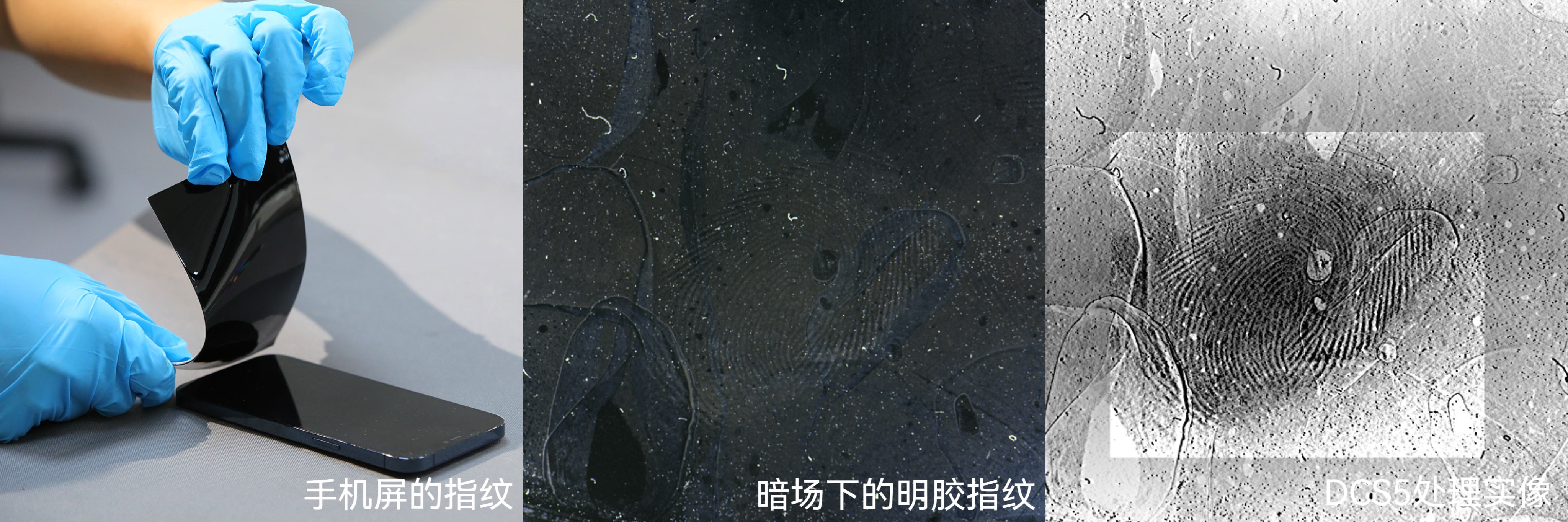 德皓 手印明胶效果图.jpg 德皓 手印明胶效果图.jpg