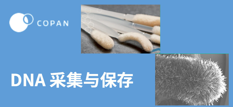 【技术分享】COPAN微头直扩植绒拭子知多少 / 弘德商城_公共安全产品网