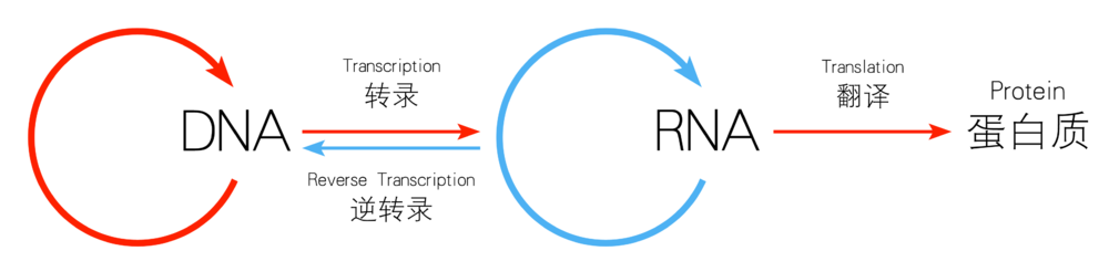 图片 3.png