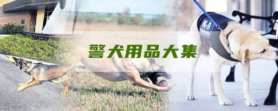 【直播预告】3月18日 14:00 聚焦工作犬嗅源训练新技术