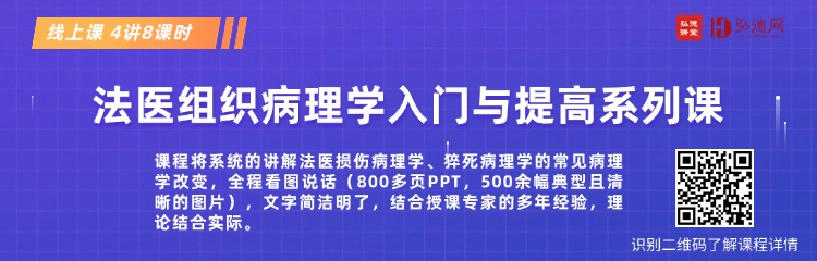 讲透法医组织病理核心技能:800 页 PPT+1200幅图片,「看图识病理」实战课