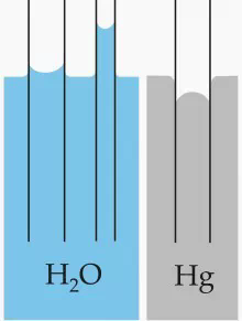 640.webp (7).png 640.webp (7).png