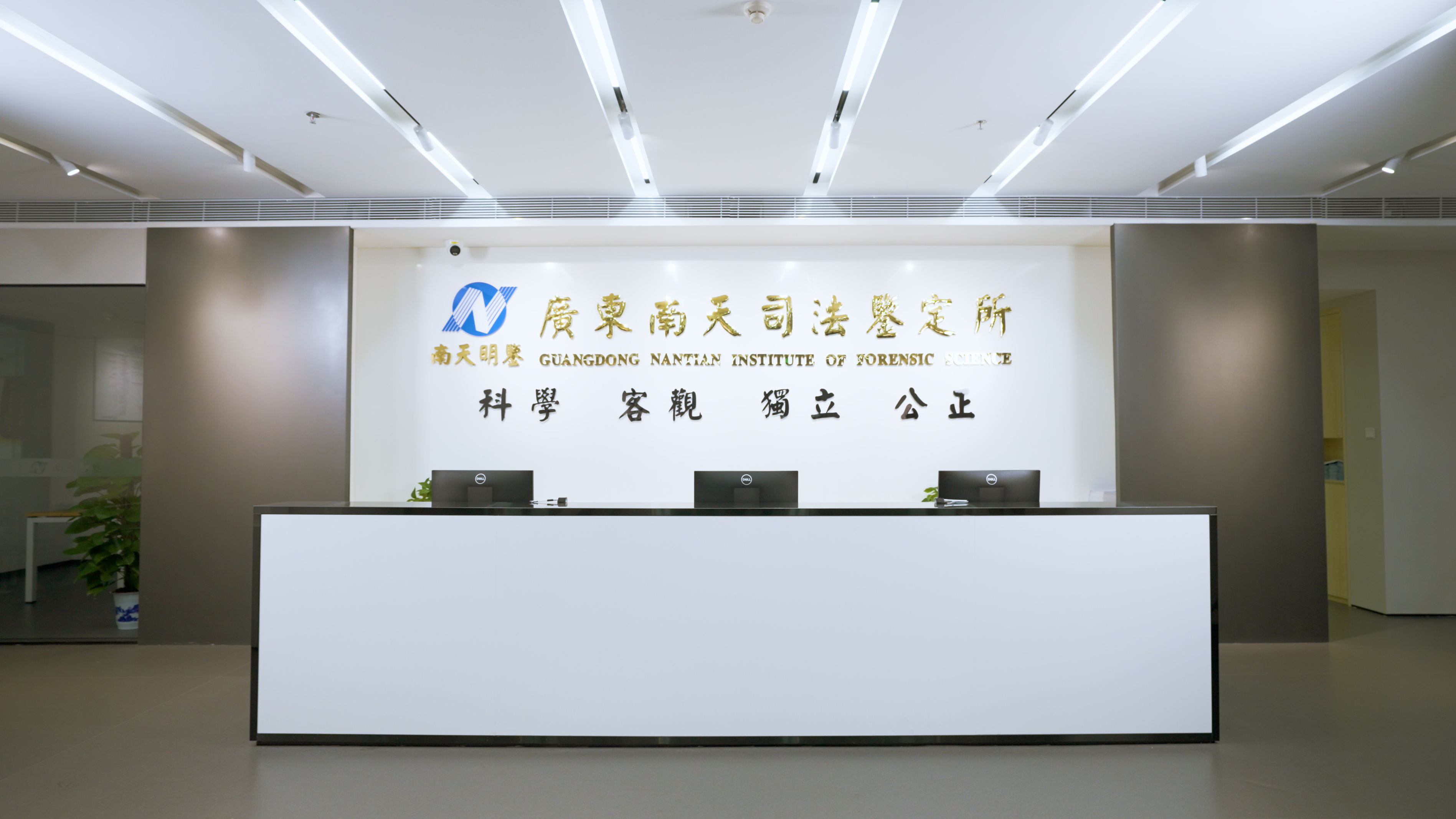 诚聘精英｜广东南天司法鉴定所2026年招聘简章