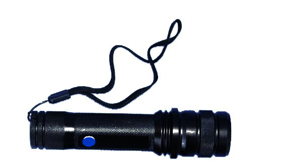 HXSD-III型蓝光LED匀光手电1.JPG