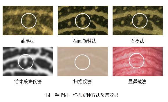 指印学术专著 填补国内指纹三级特征研究空白