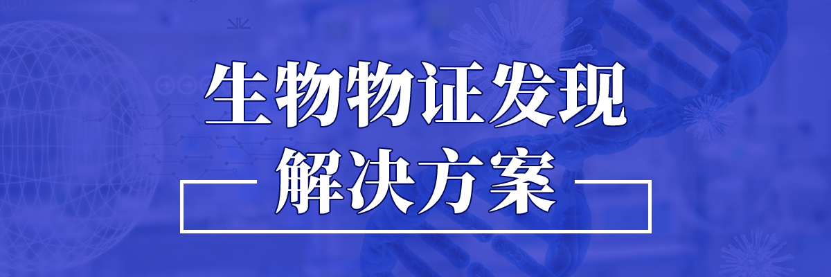 文件检验