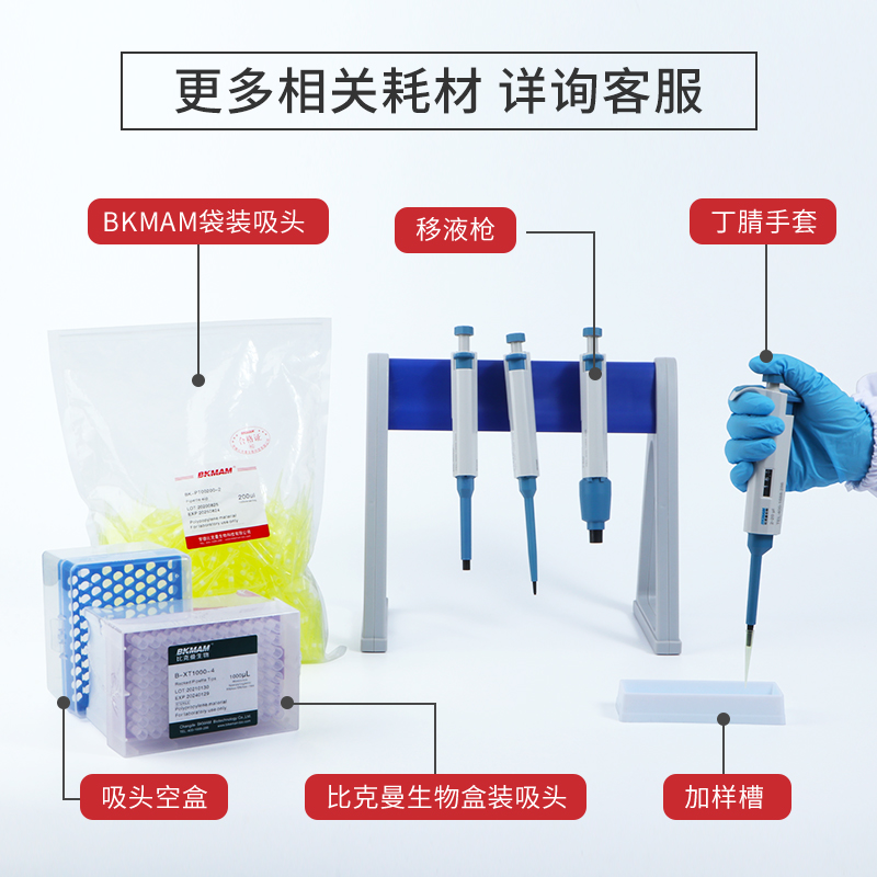 移液器塑料移液枪架子支架6孔实验室耗材A型Z型 移液管