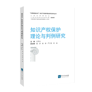知识产权保护理论与判例研究