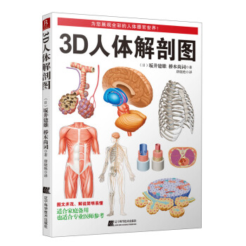 3D人体解剖图