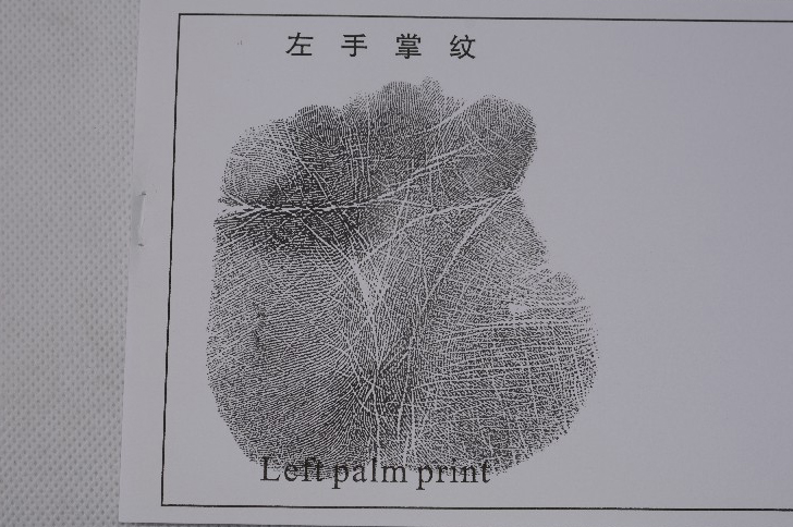 BTNY-Ⅲ型高分子掌纹捺印盒