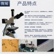 【德团购116期】MICROWORLD金相显微镜/材料显微镜WSM500