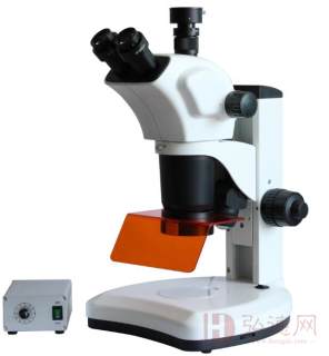 朱墨时序检测体视显微镜，荧光显微镜