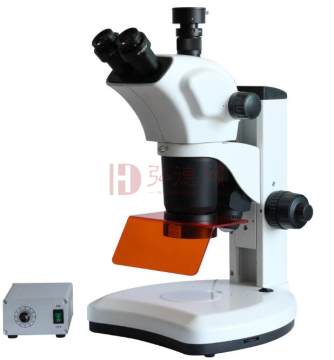 微域光学朱墨时序检测体视荧光显微镜