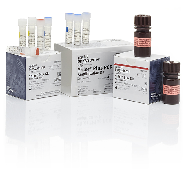 Yfiler™ Plus PCR Amplification Kit