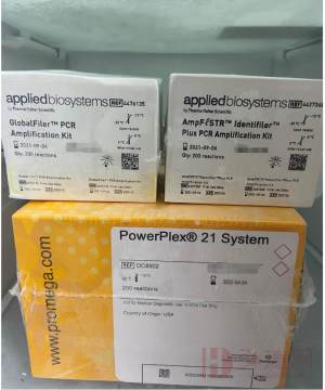 Yfiler. Platinum PCR Amplification Kit