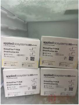 VeriFiler™ Plus PCR Amplification Kit