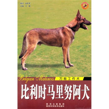 比利时马里努阿犬：万能工作犬