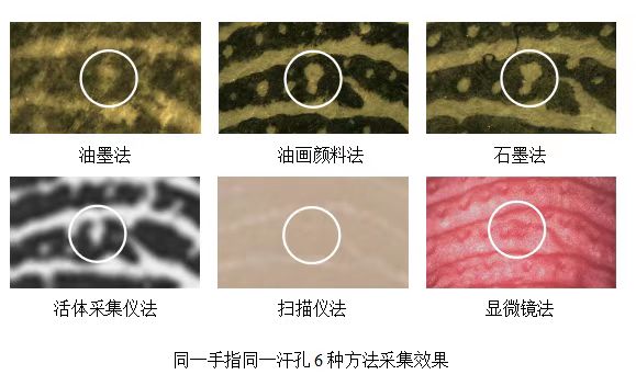 指印鉴定 之 单条乳突纹线内部构造形成的微观细节特征