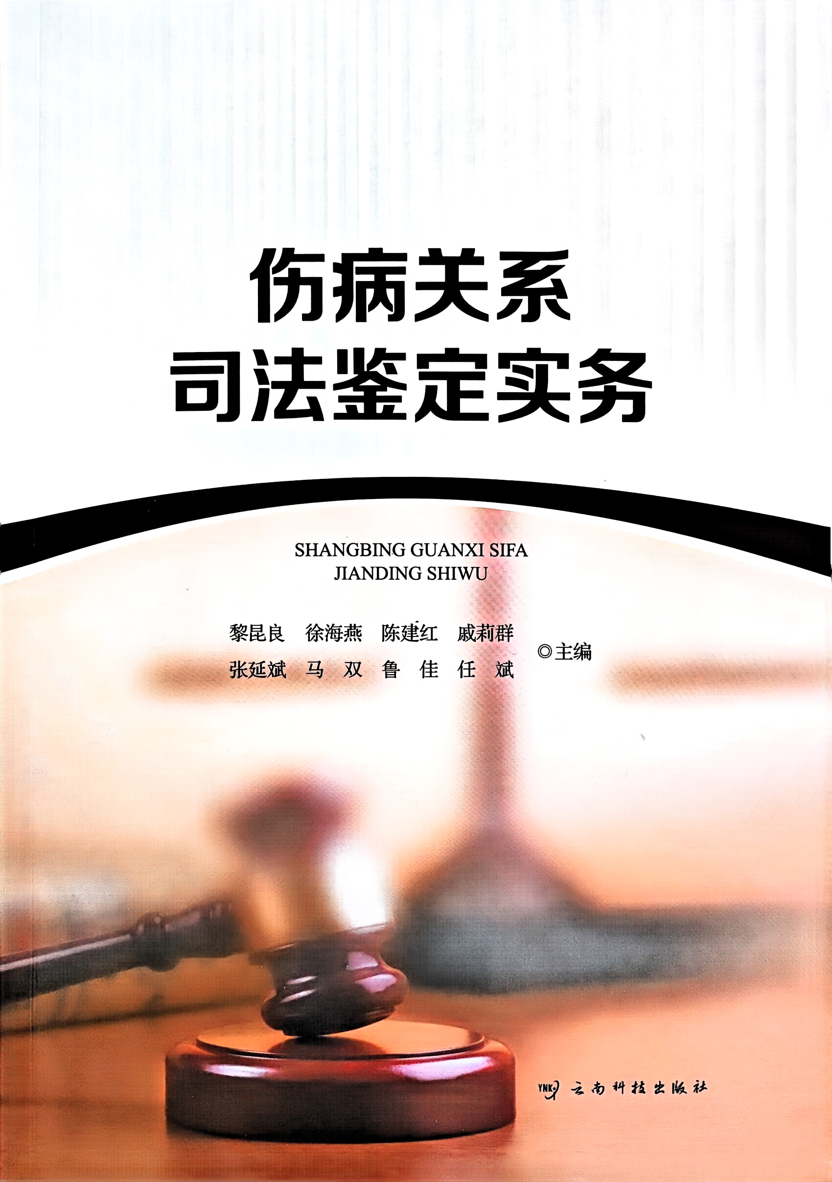 伤病关系司法鉴定实务  |  云南科技出版社  |  黎昆良 徐海燕 陈建红等主编