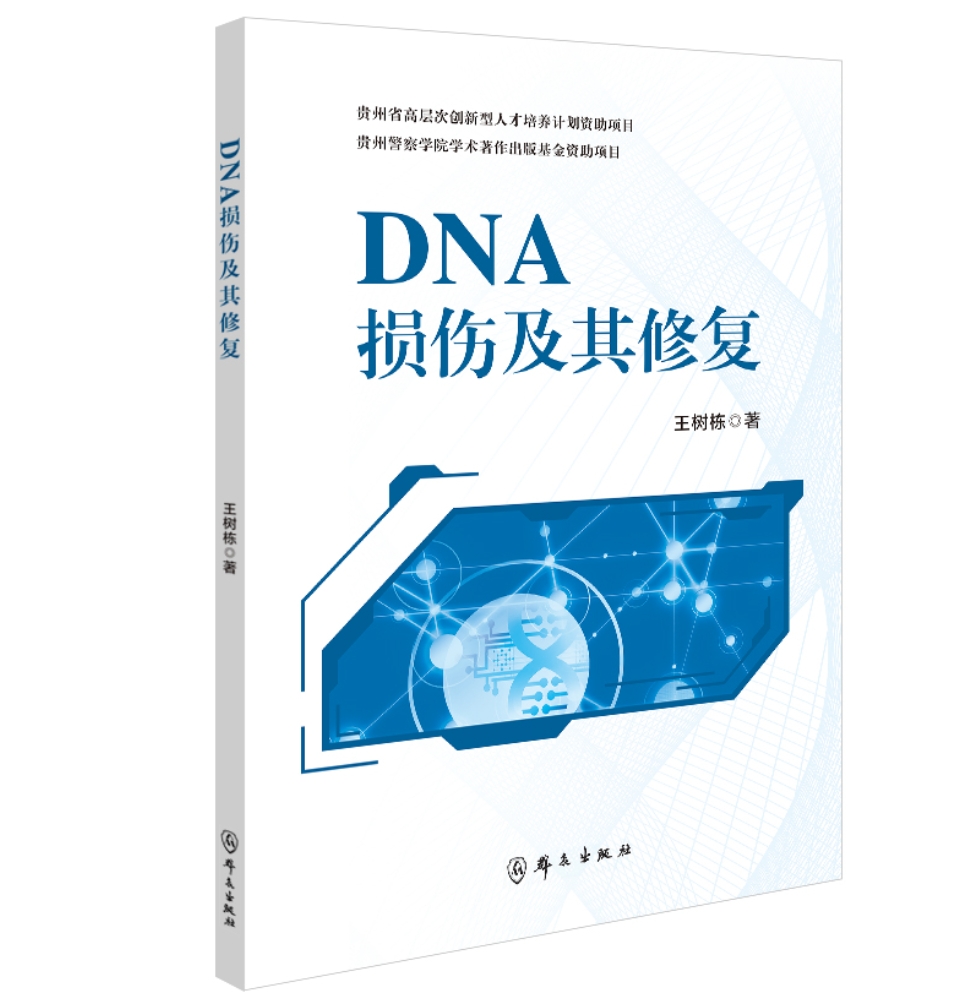 DNA损伤及其修复