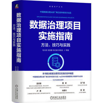 数据治理项目实施指南：方法、技巧与实践