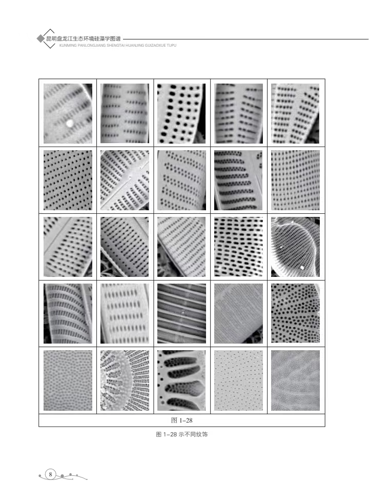 【新书预售】法医病理专业图书 | 昆明盘龙江生态环境硅藻学图谱