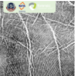 获得中国合格评定国家认可委员会CNAS认可，可作为国内实验室每年参加实验室能力验证测试实验室检验能力的的重要补充。