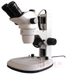 SZM-058R荧光体视显微镜（基础型）