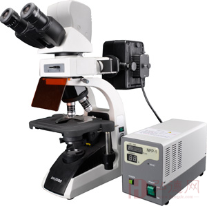 XSP-2000R荧光显微镜（基础型）