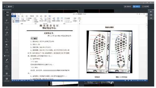 恒锐足迹分析与检验系统