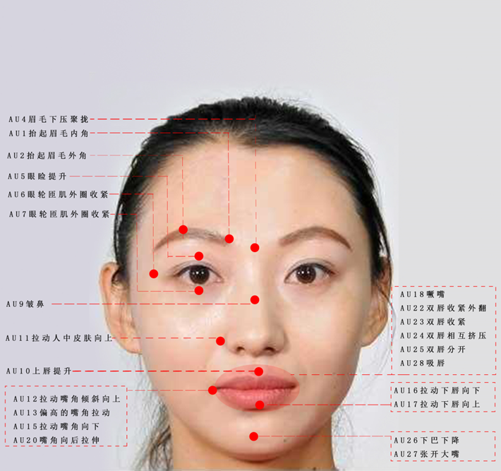 【火调技术培训】调查询问-多模态心理综合分析系统应用