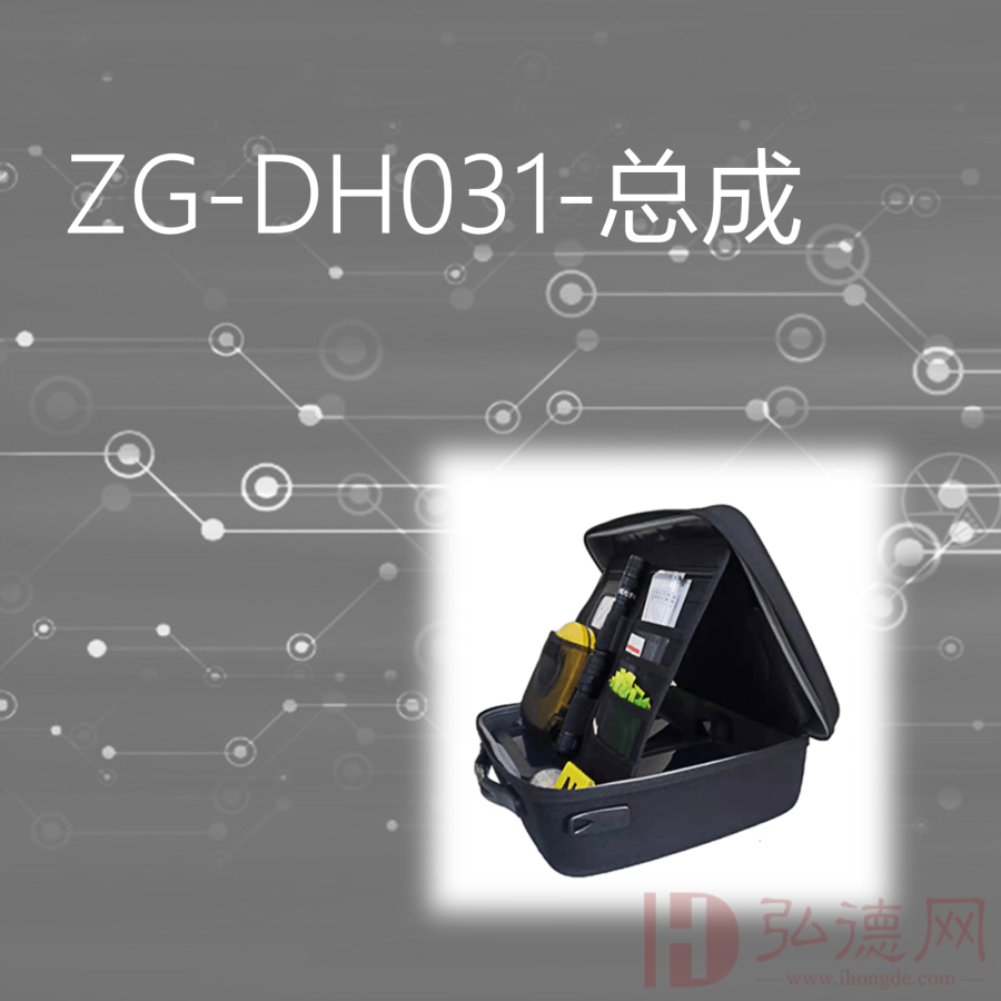 ZG-DH031-总成