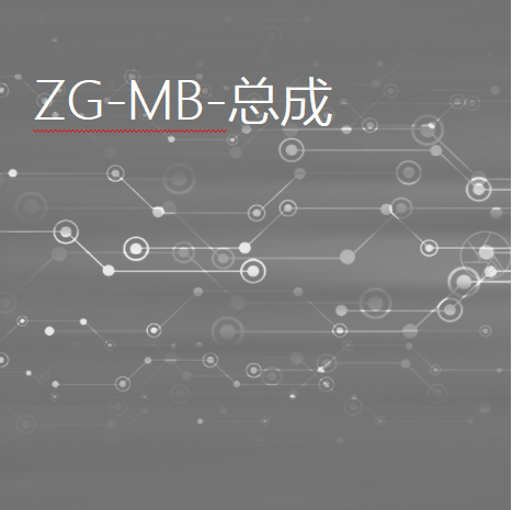 ZG-DMB-总成