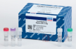 Investigator 26plex QS Kit- 常染色体复合扩增试剂盒