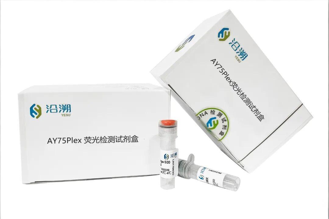 AY75Plex荧光检测试剂盒 