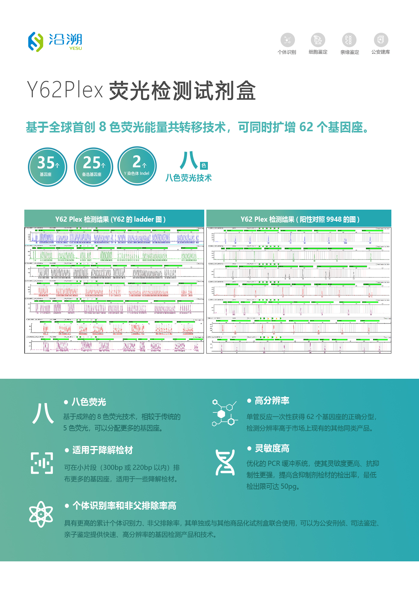 沿溯YESU  Y62Plex 荧光检测试剂盒（100人份）