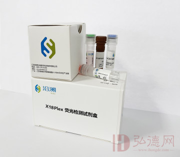 沿溯YESU  X18Plex荧光检测试剂盒（50人份）