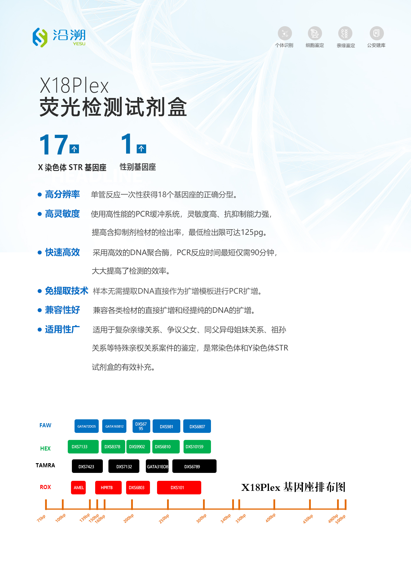 沿溯YESU  X18Plex荧光检测试剂盒（50人份）