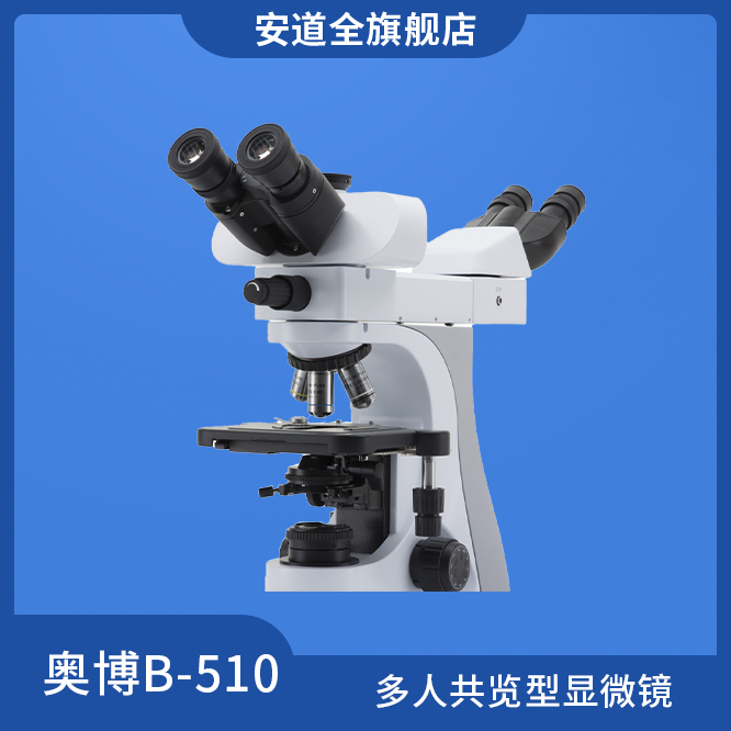 奥博B-510多人共览型显微镜-教学显微镜