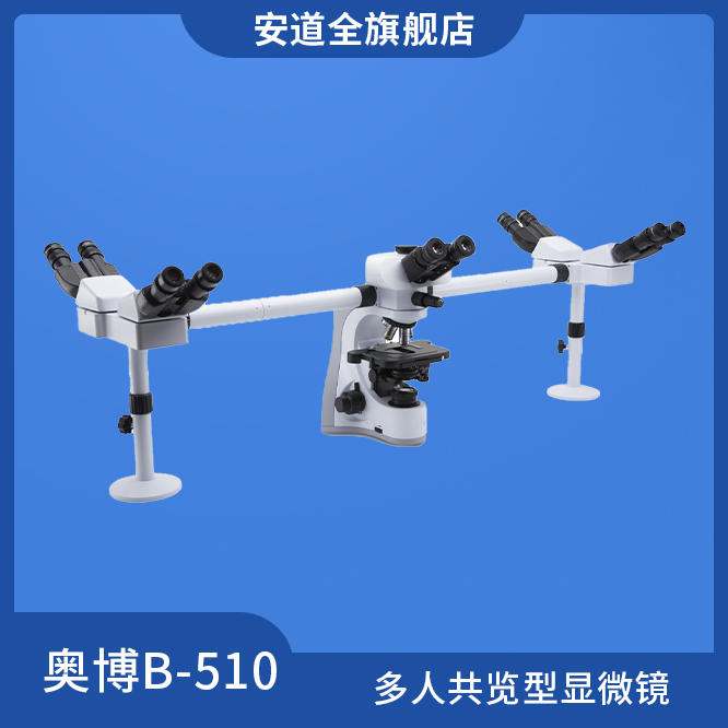 奥博B-510多人共览型显微镜-教学显微镜